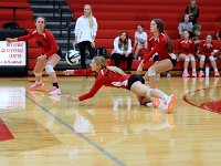 2023-09vbtiffin 0211