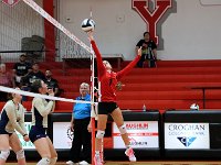 2023-09vbtiffin 0277