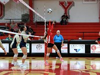 2023-09vbtiffin 0287