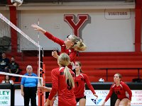 2023-09vbtiffin 0317