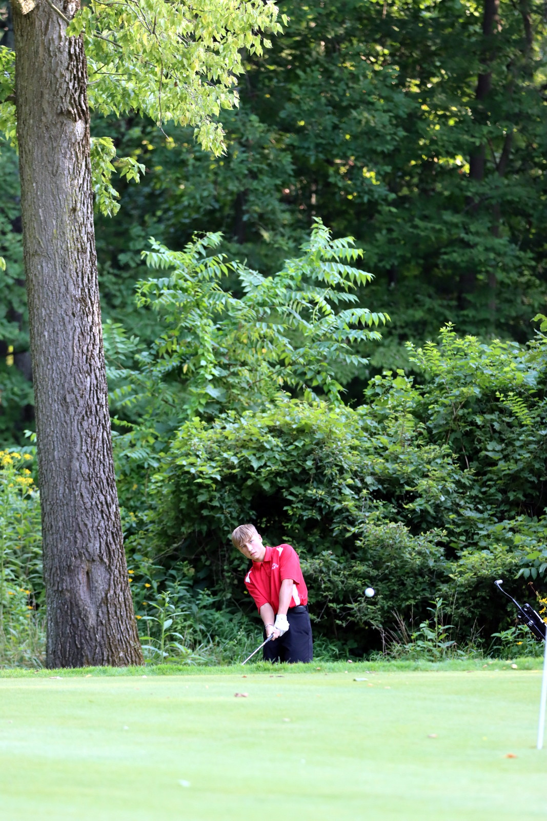 2023-jvbgolfatnorwalk-1272