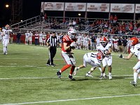 2023- vfbnapoleon 0141