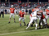 2023- vfbnapoleon 0166