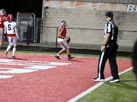 2023- vfbnapoleon 0193