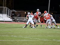 2023- vfbnapoleon 0206