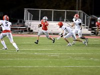 2023- vfbnapoleon 0212
