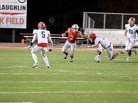 2023- vfbnapoleon 0215