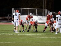 2023- vfbnapoleon 0229