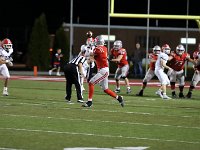 2023- vfbnapoleon 0267