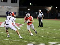 2023- vfbnapoleon 0533