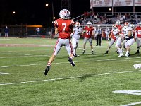 2023- vfbnapoleon 0644