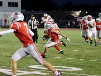 2023-vfbshelby 0785