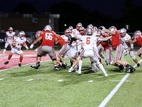 2023-vfbshelby 0836