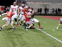 2023-vfbshelby 1170