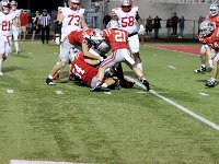 2023-vfbshelby 1177