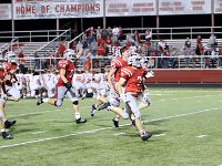 2023-vfbshelby 1271