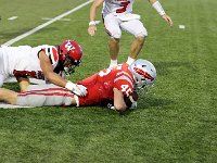 2023-vfbwauseon 2676