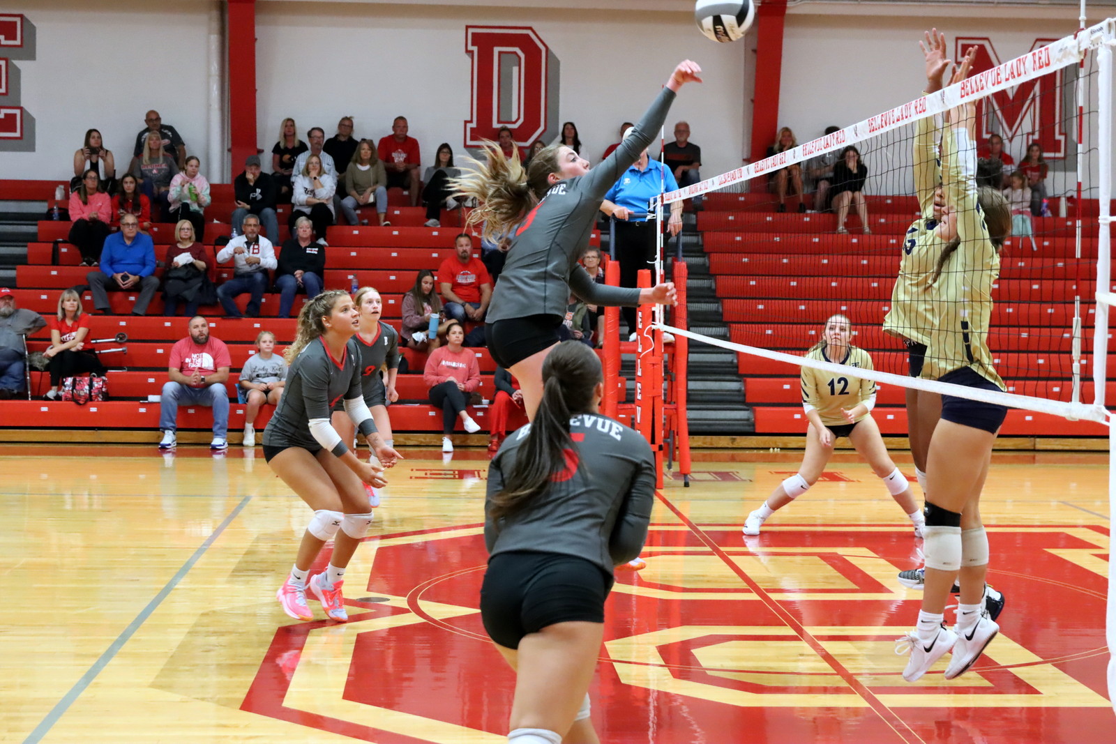 2023-vvbtiffin 0229