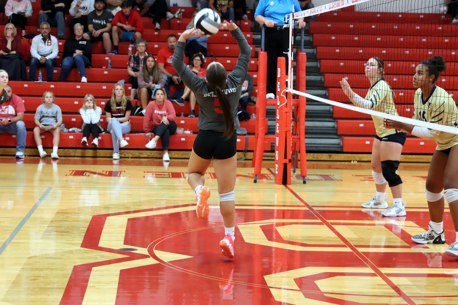 2023-vvbtiffin 0641