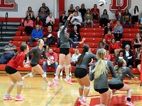 2023-vvbtiffin 0147