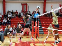 2023-vvbtiffin 0194