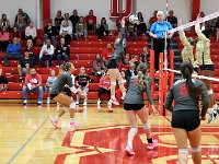2023-vvbtiffin 0210