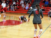 2023-vvbtiffin 0318