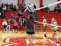 2023-vvbtiffin 0322