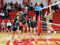 2023-vvbtiffin 0412