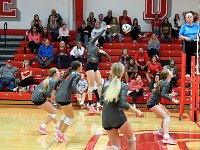 2023-vvbtiffin 0508
