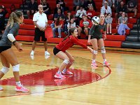 2023-vvbtiffin 0524