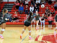 2023-vvbtiffin 0546