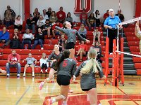 2023-vvbtiffin 0593