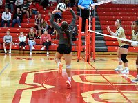 2023-vvbtiffin 0641