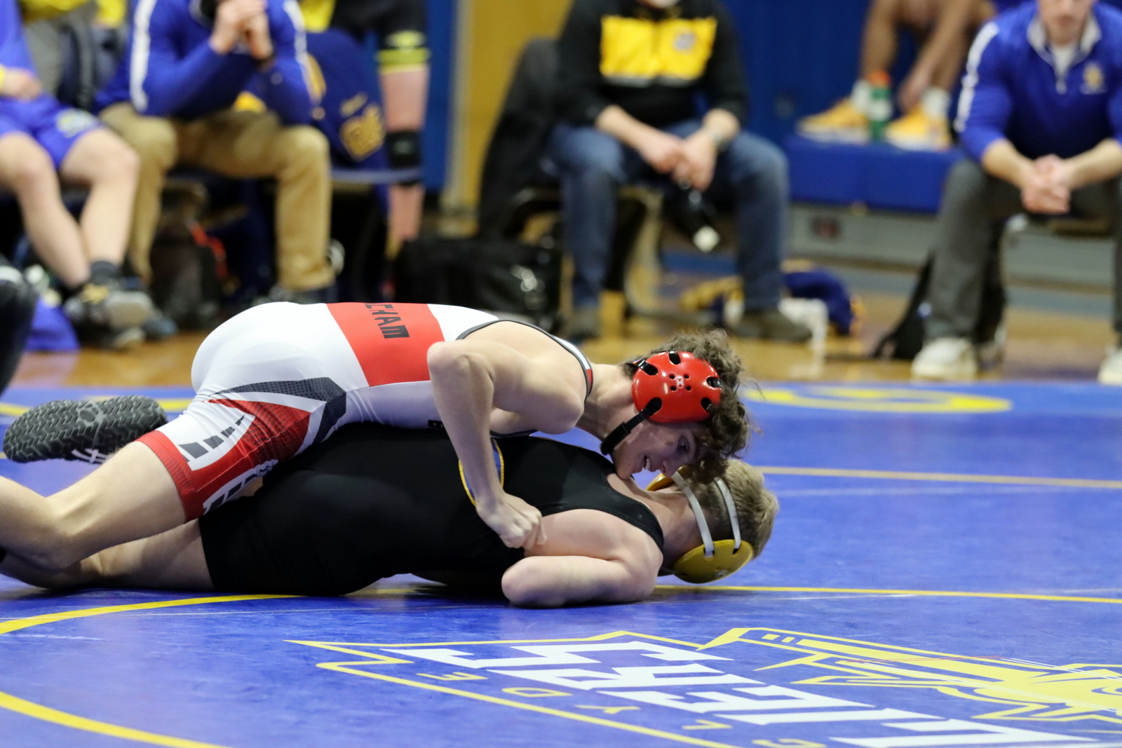 2024-vwrestlingatclyde-0279