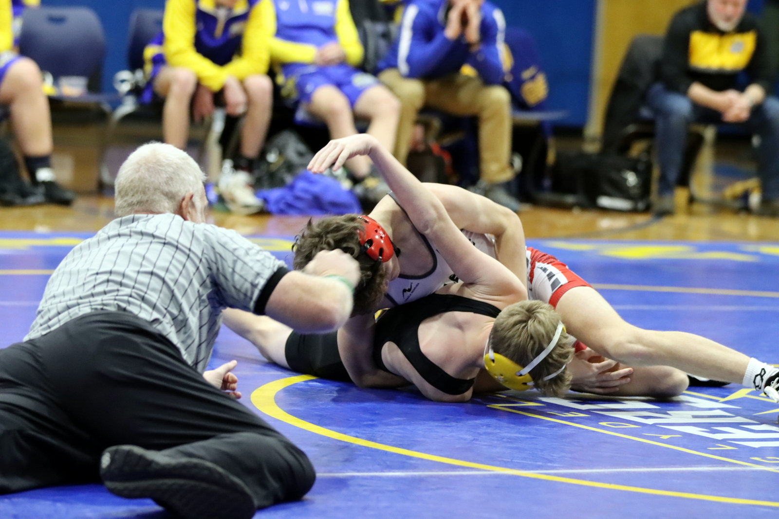 2024-vwrestlingatclyde-0299