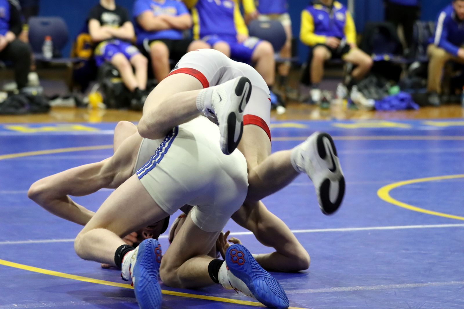 2024-vwrestlingatclyde-1038