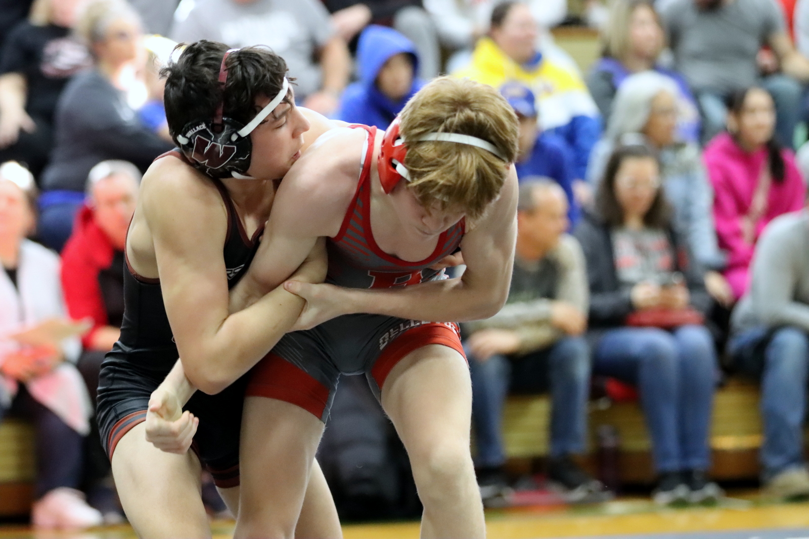 2024-vwrestlingatmarginvite-1892
