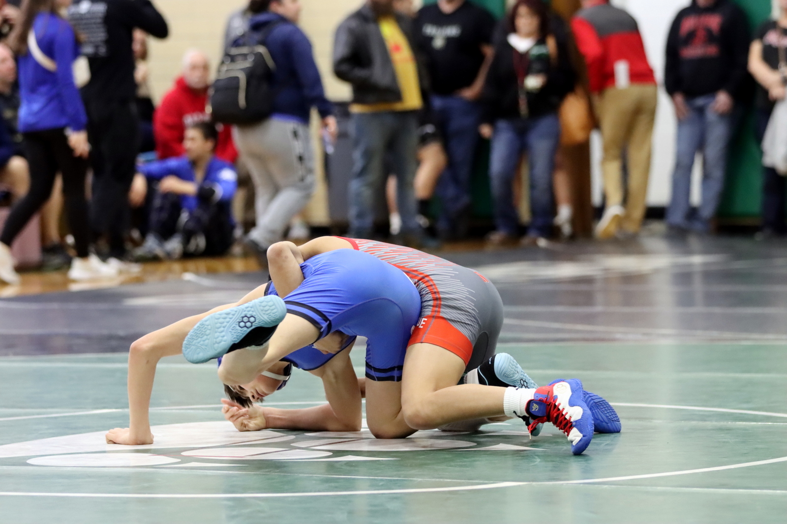 2024-vwrestlingatmarginvite-2558