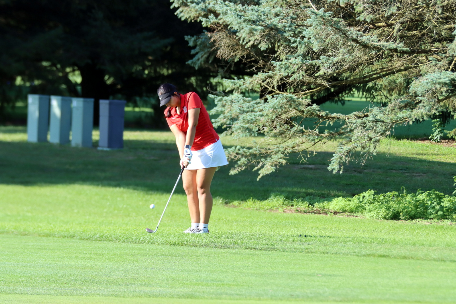 2024-GVGShootout-0879
