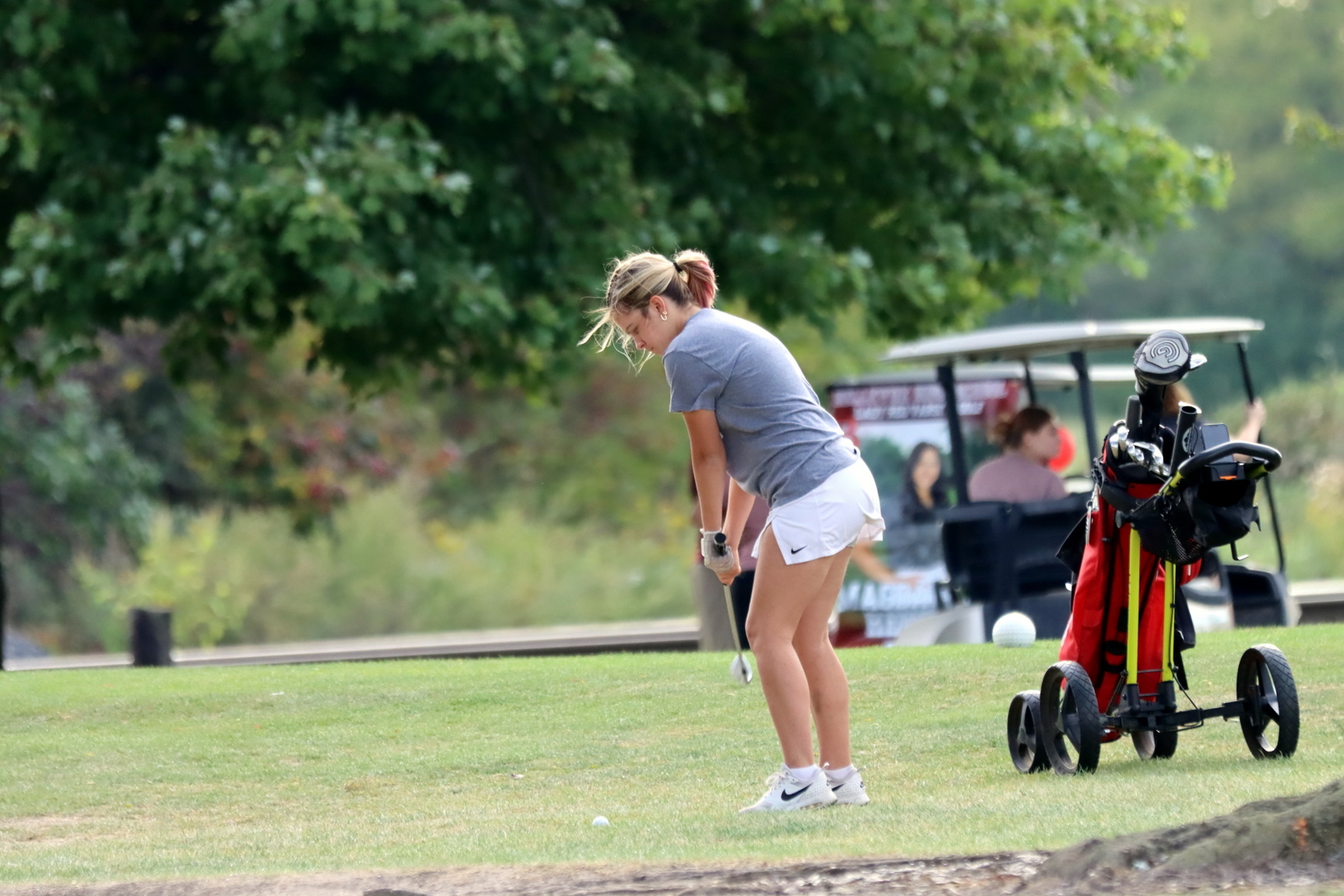 2024-VGGWillardSeniors-0432