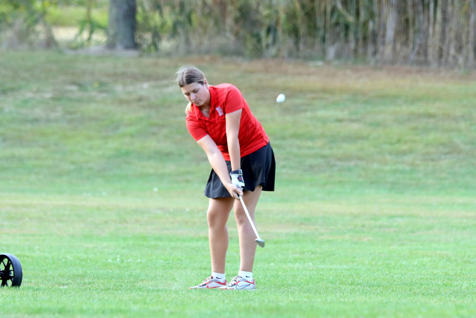 2024-VGGWillardSeniors-0837