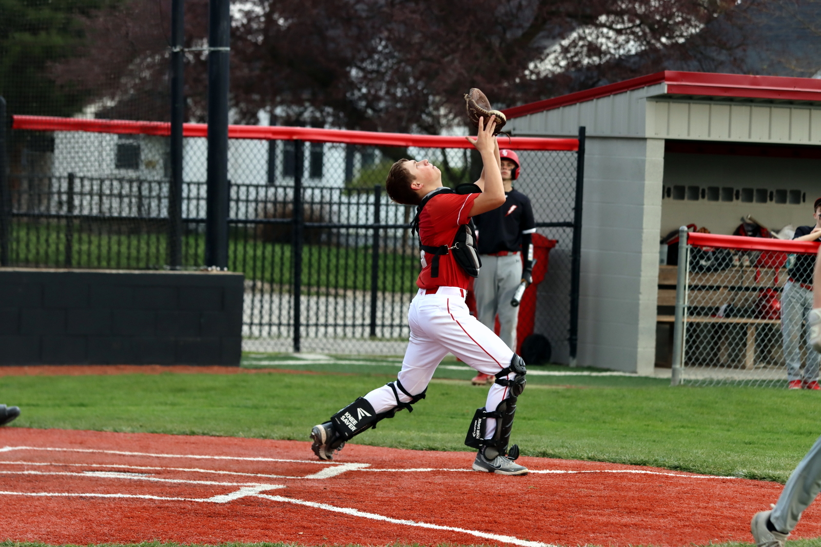 2024-09baseballstjoe-1293