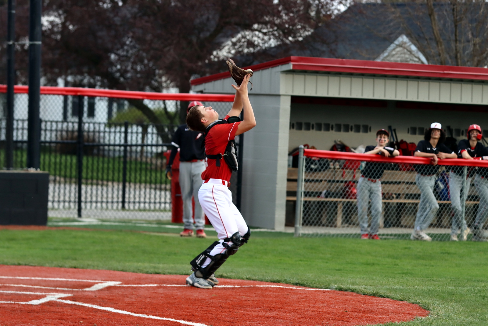 2024-09baseballstjoe-1296
