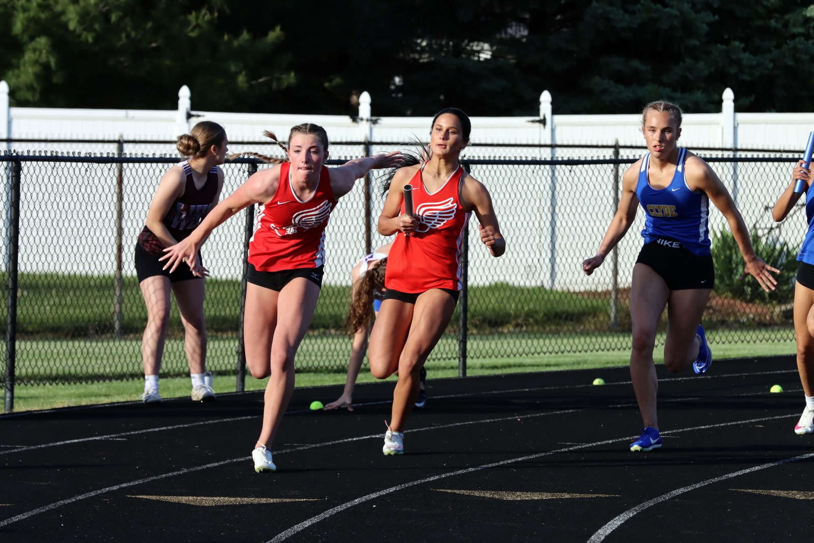 248-2024-trackelks-1121