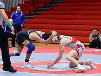 2025-wrestlingclyde-0915