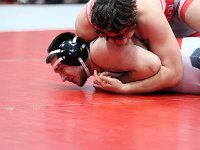 2025-wrestlingquad-2498