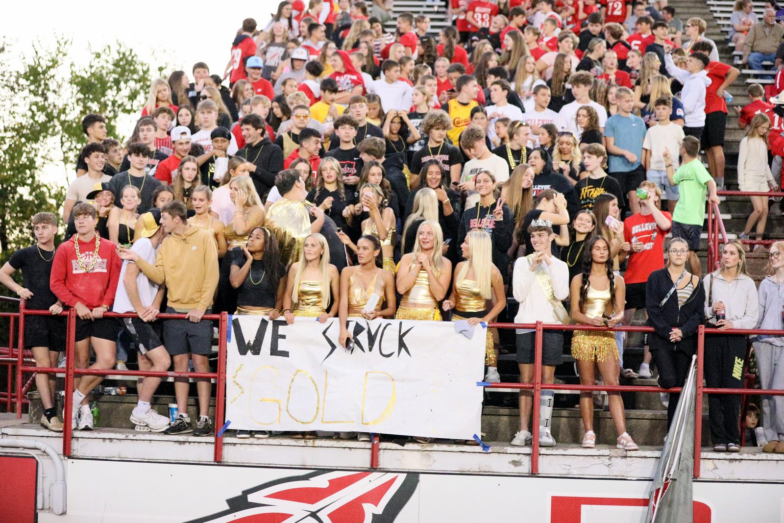 2025-bdeckvfbhuron-0285