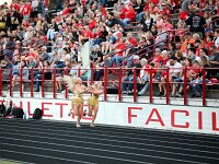 2025-bdeckvfbhuron-0217