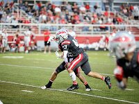 2025-bdeckvfbhuron-0271